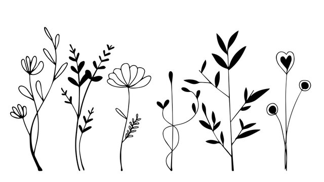 Flower Clipart Black And White Vector Art, Icons, and Graphics for