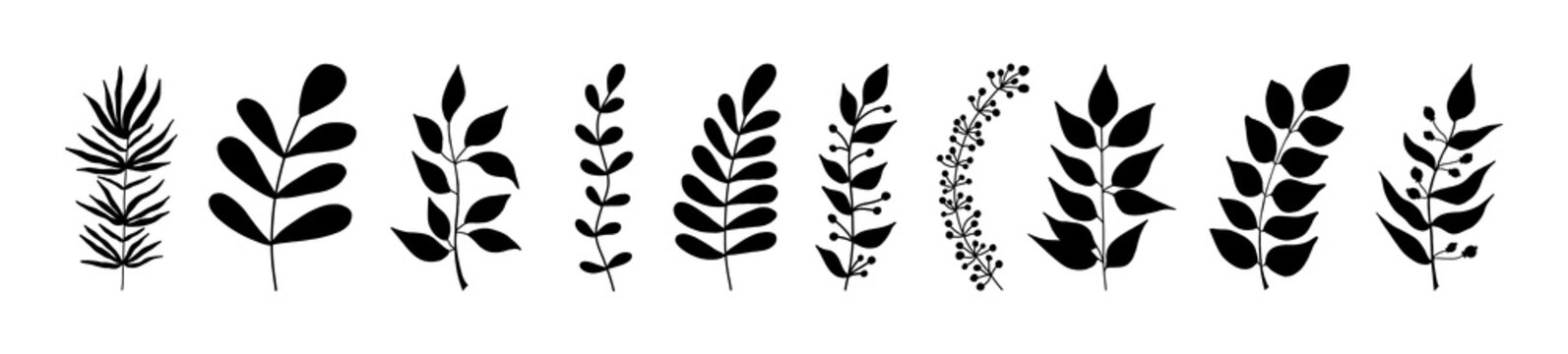 Ten black botanical leaf silhouettes in varied shapes-fern, pinnate, ovate, and compound-arranged horizontally on white background.