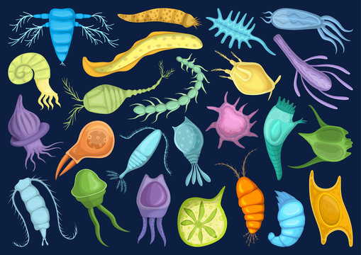 Colorful illustrated collection of diverse microscopic plankton and marine microorganisms on dark blue background.