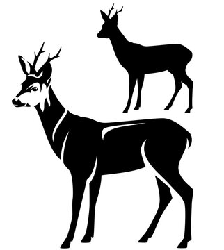 Deer Silhouette Illustration - Vector Art for Wildlife Design