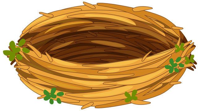 Empty bird’s nest made of twigs and straw, decorated with green leaves, viewed from above.