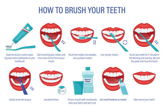 Step-by-step illustrated guide on proper tooth brushing technique, including flossing, tongue cleaning, and mouthwash use.