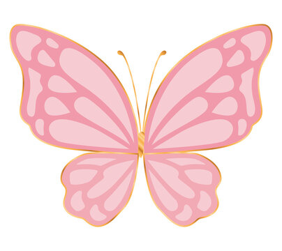 Elegant Pink Butterfly Illustration - Free Vector Graphic for Design