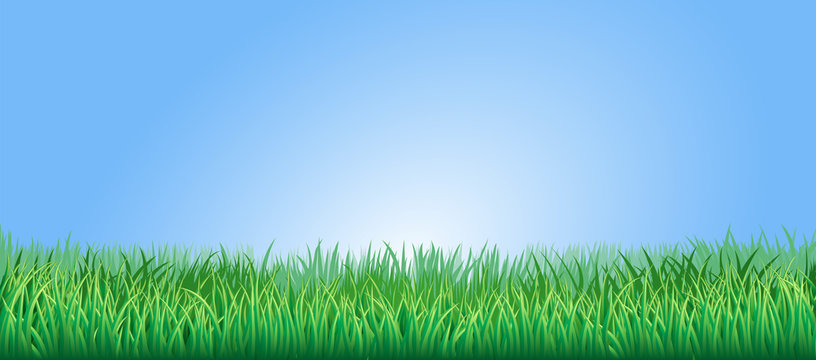 Fresh Green Grass Field Background - High-Quality Nature Image