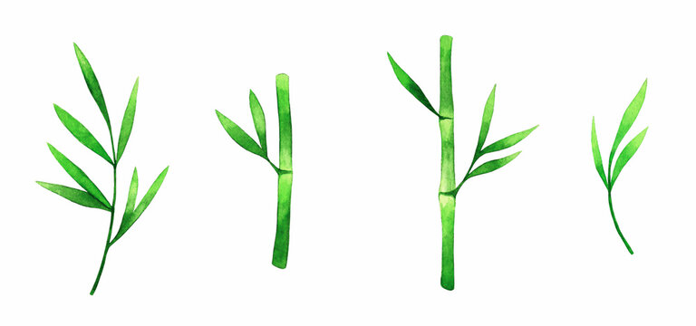 Four watercolor bamboo sprigs in varying sizes and leaf arrangements on white background.