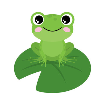 Cute Cartoon Frog on Lily Pad - Free Illustration for Kids & Education