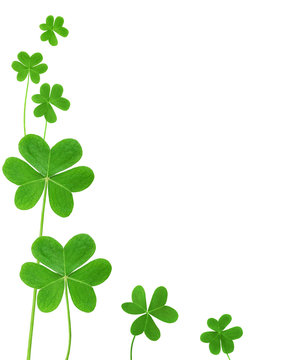 shamrock corners - Clip Art Library