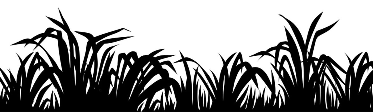 Black silhouette of tall grass blades against a white background, stylized as a decorative border element.