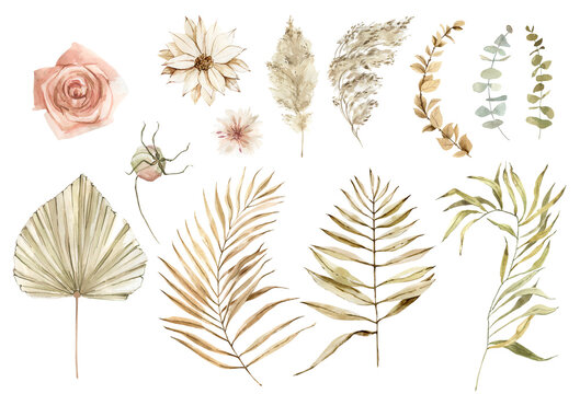 Watercolor illustration of dried botanicals including roses, palm fronds, ferns, eucalyptus, and grasses on white background.