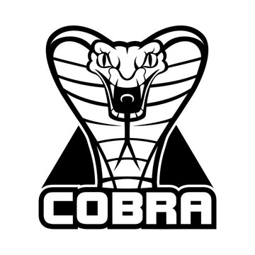 Black and white stylized cobra logo with flared hood and bold "COBRA" text below.