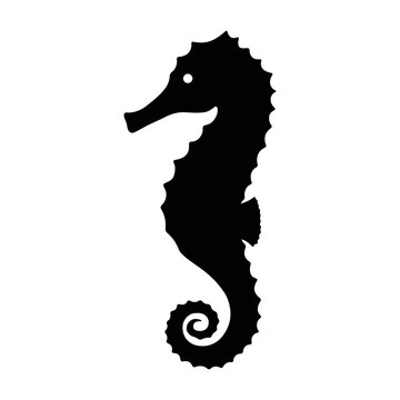 Clipart - Sea Horse Silhouette - Free Transparent PNG Clipart - Clip ...