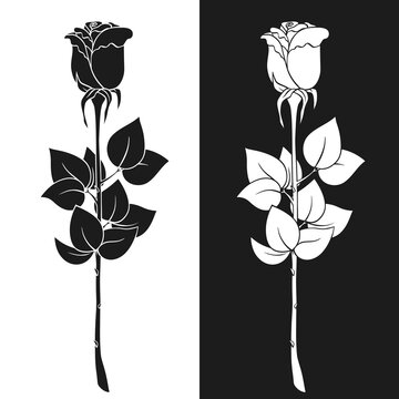 single rose - Clip Art Library