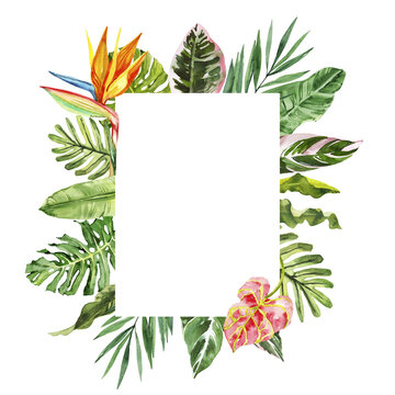 Hawaii tropical clipart Royalty Free Vector Image - Clip Art Library