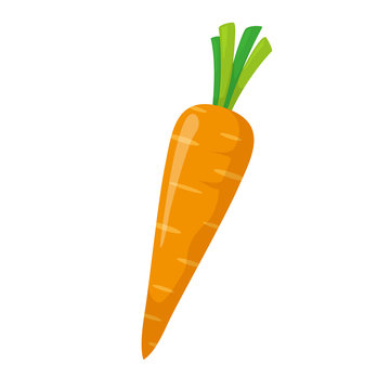 carrot - Clip Art Library