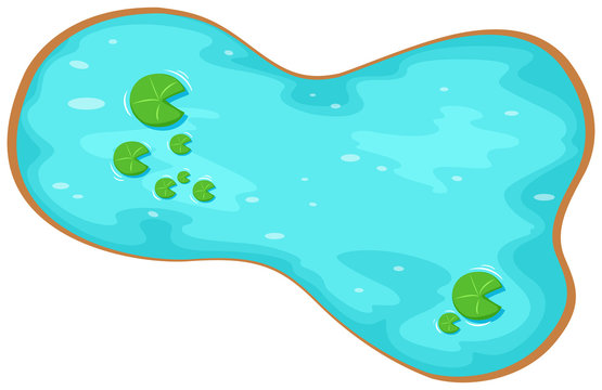 Illustrated Pond with Lily Pads - Free Clipart Image