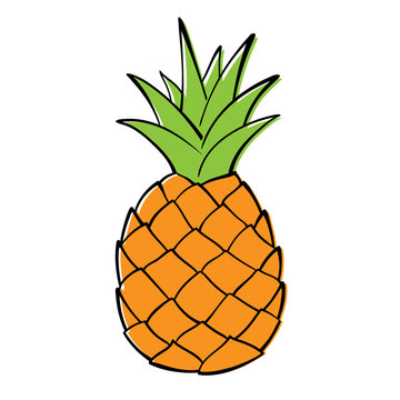 Hand-drawn cartoon pineapple with green spiky leaves and textured orange body.