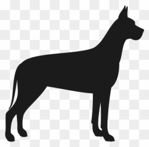 Black silhouette of a standing Great Dane dog in profile view against transparent background.