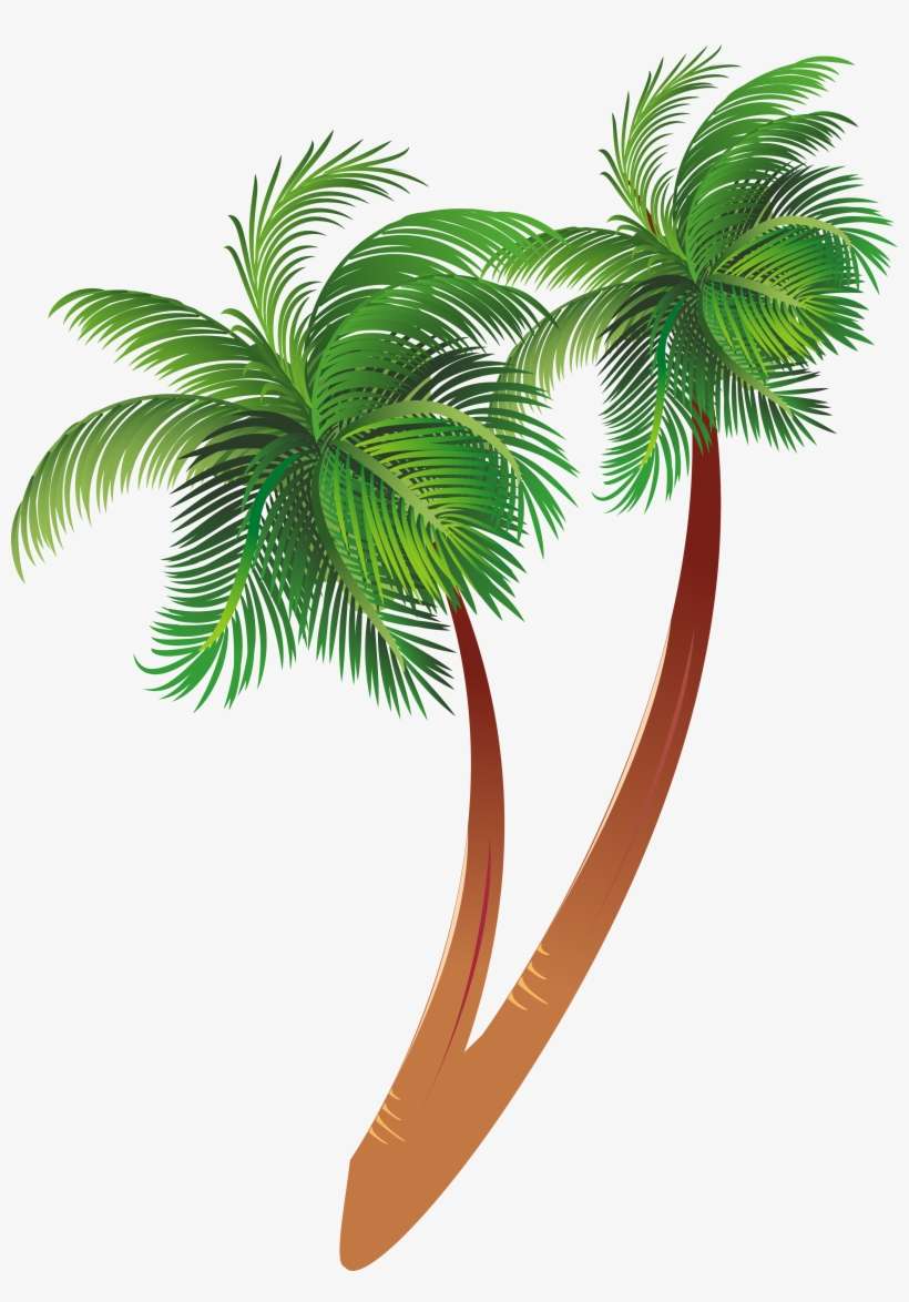 coconut tree - Clip Art Library