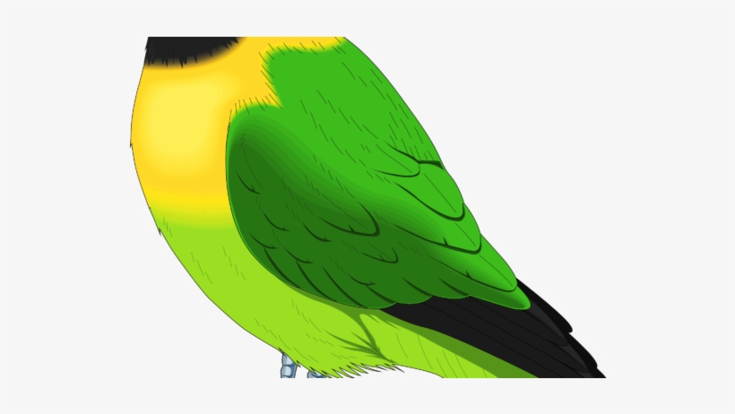 Green-and-Yellow Bird Illustration - Free Clipart for Nature & Education