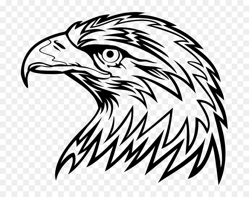 Black-and-white line art illustration of a fierce eagle head in profile, with sharp beak and intense eye.