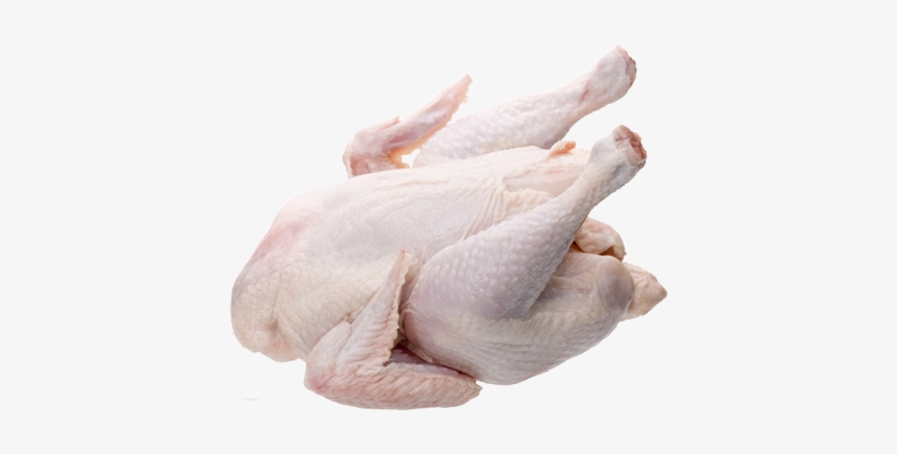 Whole raw chicken on white background, uncooked and ready for preparation.