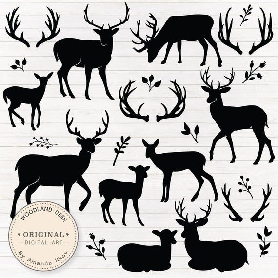 Black silhouette illustrations of woodland deer, fawns, antlers, and foliage on lined paper background by Amanda Ilkov.