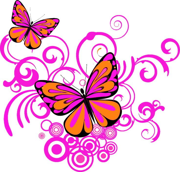 Vibrant orange and magenta butterflies with swirling pink floral patterns on white background.