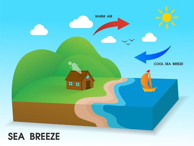 Illustration showing sea breeze formation: warm air rises over land, cool air flows from sea to land, with sun, house, and sailboat.