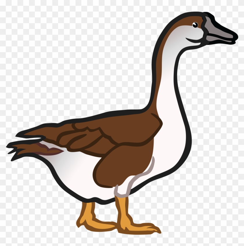 Canada Goose Vector Stock Illustration - Download Image Now - Clip Art ...