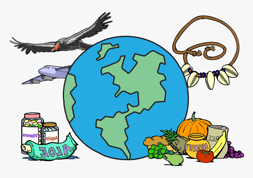 biodiversitys - Clip Art Library