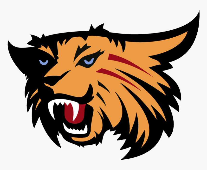 Fierce orange and black lynx head logo with blue eyes, red scars, and bared fangs.