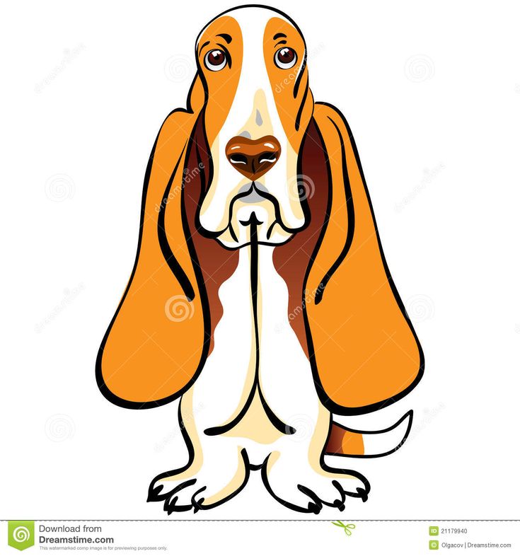 Cartoon basset hound with long orange ears, expressive eyes, and a sad yet charming expression on white background.