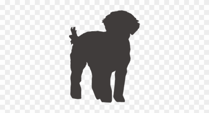 Silhouette of a fluffy dog standing in profile, tail curled upward, on transparent background.