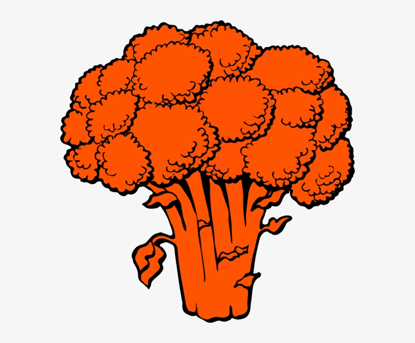 Vibrant orange broccoli illustration with bold black outlines and leafy stalk details.