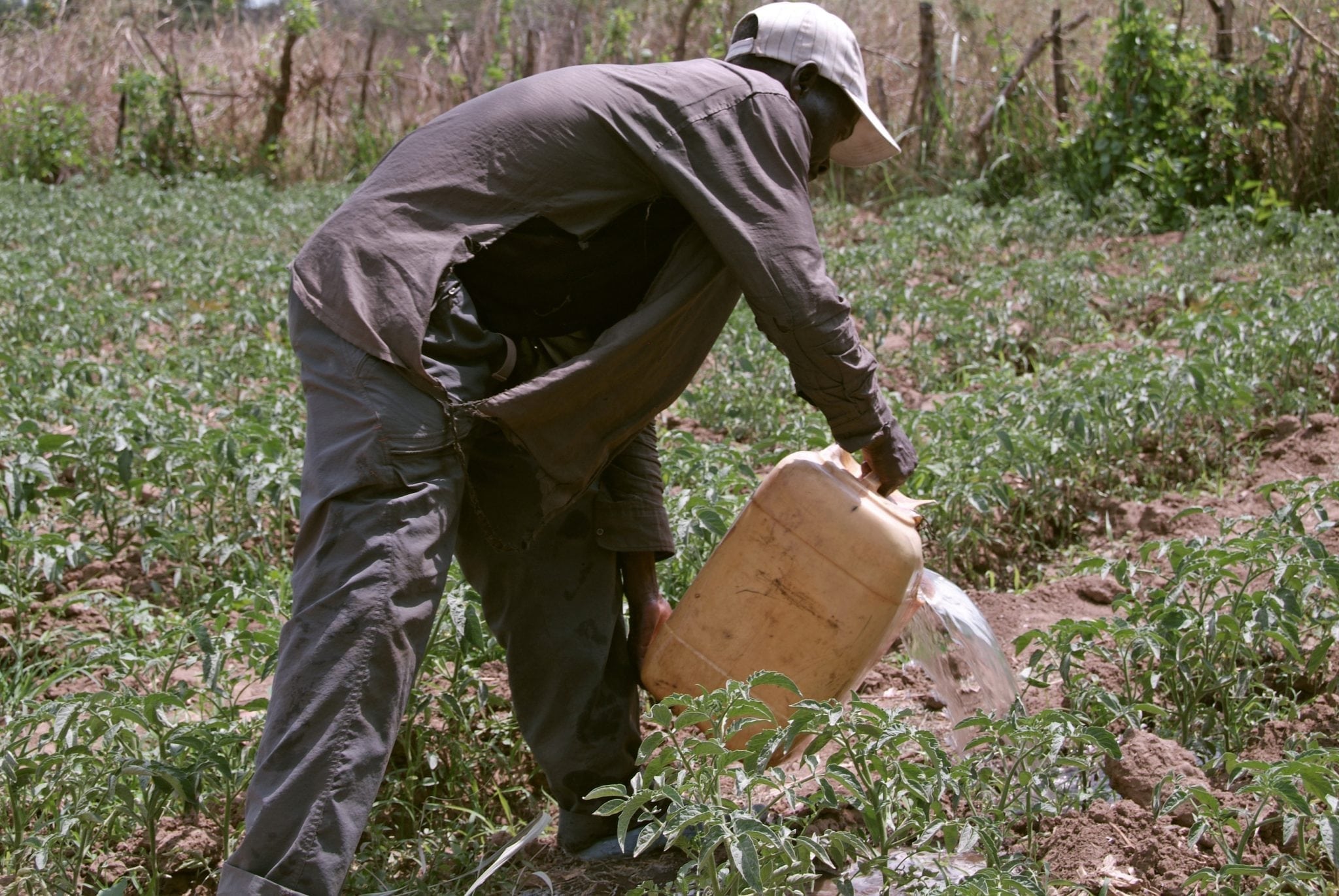Small-Scale Farming: Manual Irrigation in Subsistence Agriculture