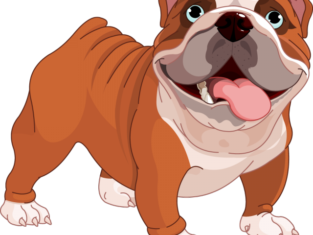 Cheerful brown and white bulldog with blue eyes, tongue out, and wrinkled face.