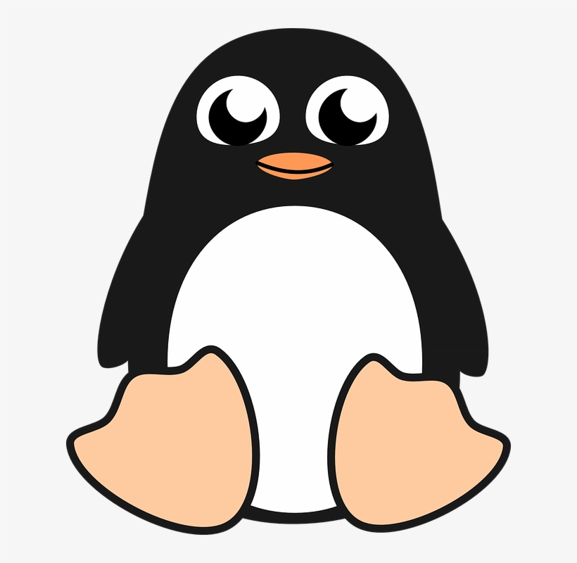 Cute cartoon penguin with large eyes, orange beak and feet, sitting upright on white background.