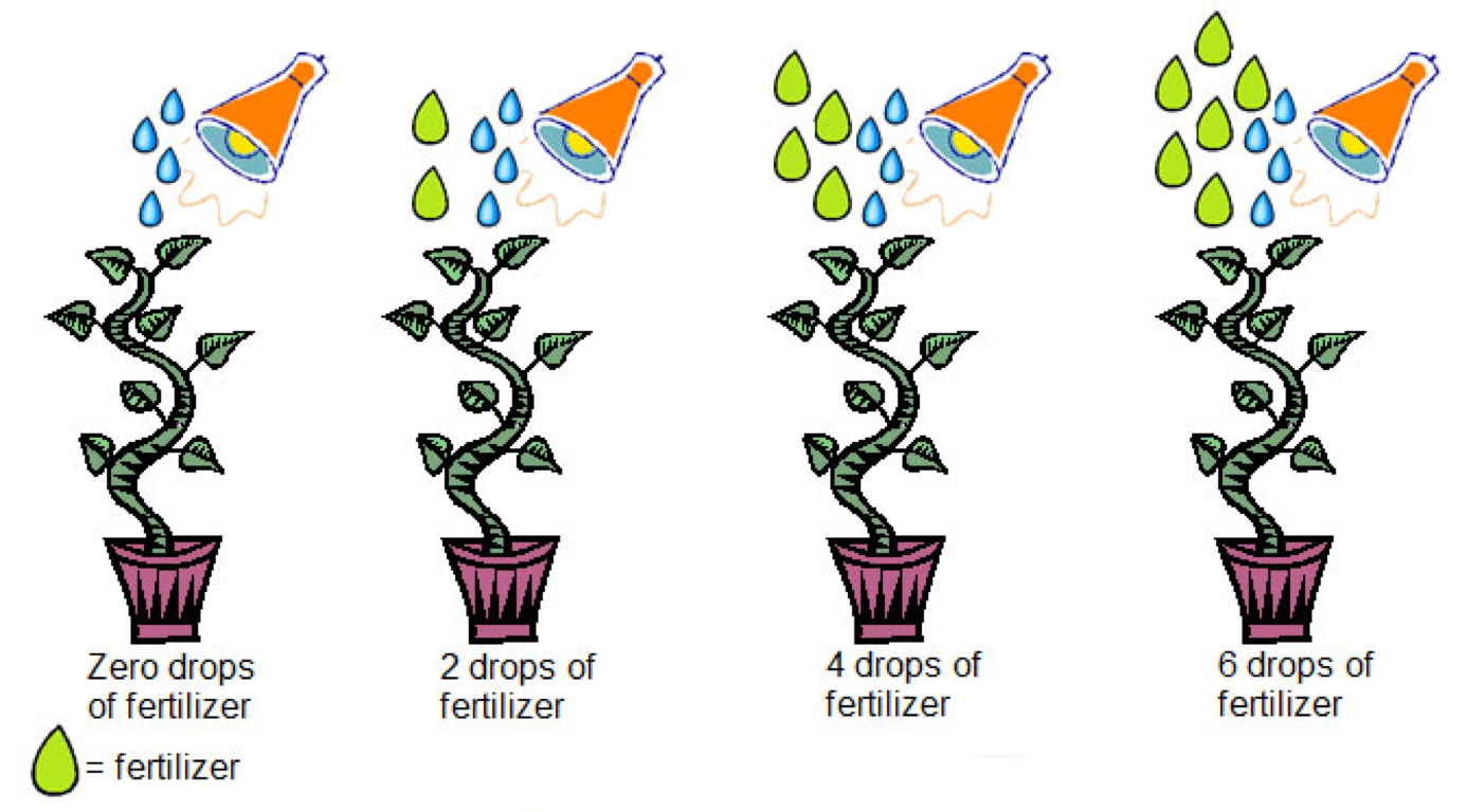 Four-panel illustration showing increasing fertilizer drops (0, 2, 4, 6) applied to identical potted plants, with visual growth correlation.