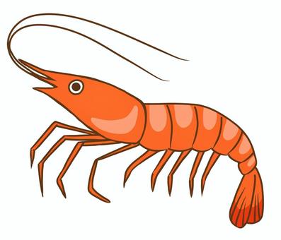 Bright orange cartoon-style shrimp with long antennae, segmented body, and visible legs and tail fan.