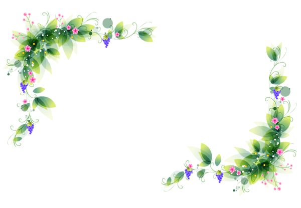 Decorative floral vine border with green leaves, pink flowers, and purple grapes in top-left and bottom-right corners on white background.
