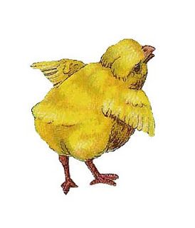 A cheerful yellow chick with fluffy feathers, outstretched wings, and open beak, illustrated in a soft watercolor style.