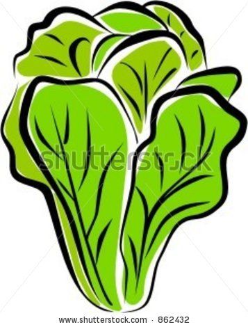 Fresh Bok Choy Illustration - Healthy Vegetable Clipart for Recipes & Nutrition Sites