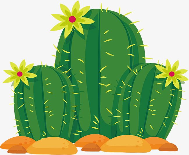 Green barrel cactus with yellow flowers and spines, set on sandy ground in a stylized illustration.