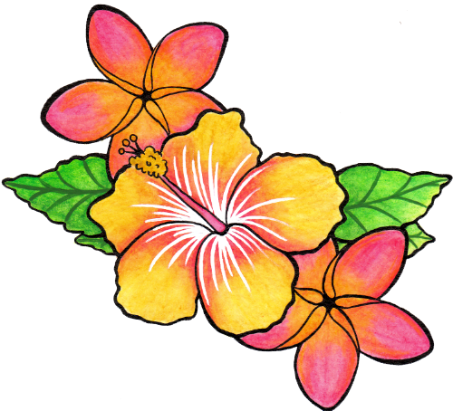 Vibrant hand-drawn hibiscus and plumeria flowers with green leaves, rendered in warm orange, yellow, and pink tones.