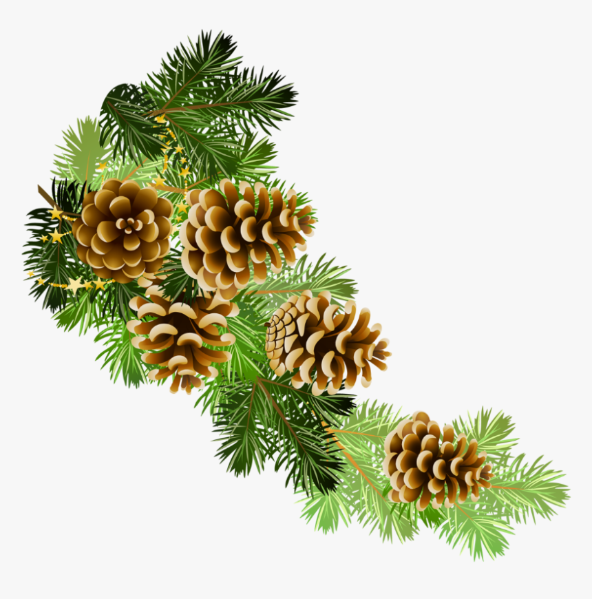 christmas boughs - Clip Art Library