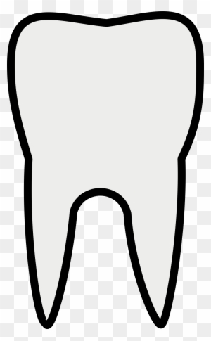 Simple black-and-white line drawing of a human molar tooth with two roots.