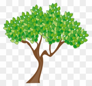 A stylized green leafy tree with brown trunk and branches on transparent background.