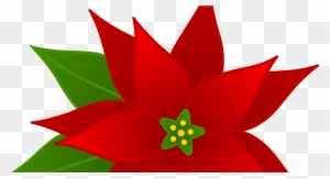 Vibrant red poinsettia flower with green leaves and yellow-green center, set against transparent background.