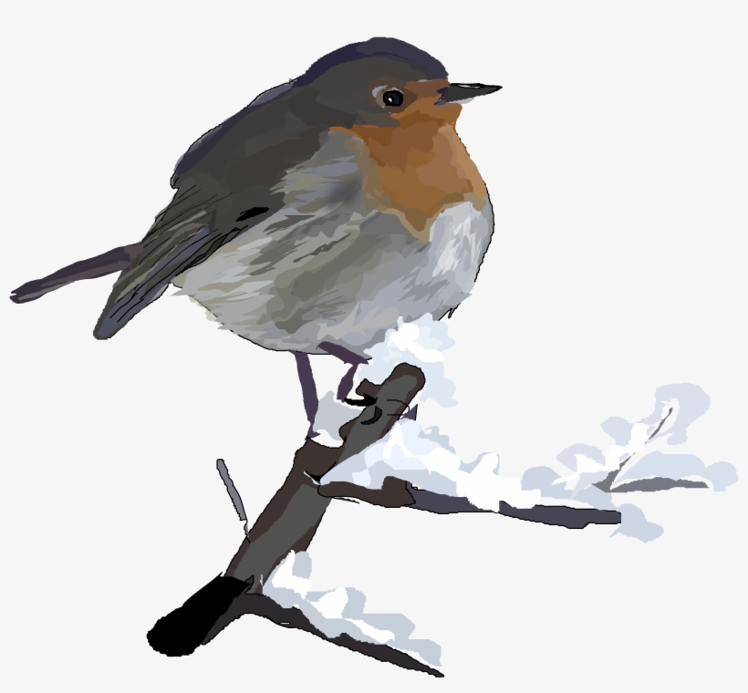Winter Birds Watercolor Clipart Graphic by s.yanyeva · Creative Fabrica ...