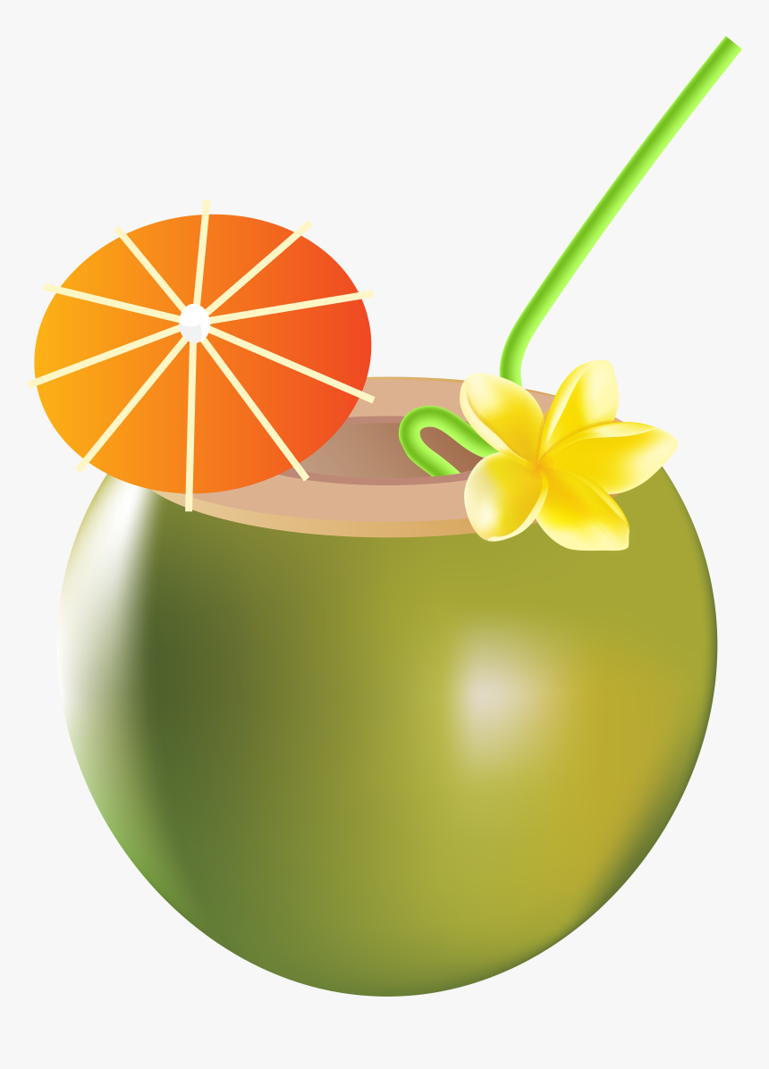 Refreshing Coconut Drink with Umbrella & Flower - Tropical Beverage Illustration